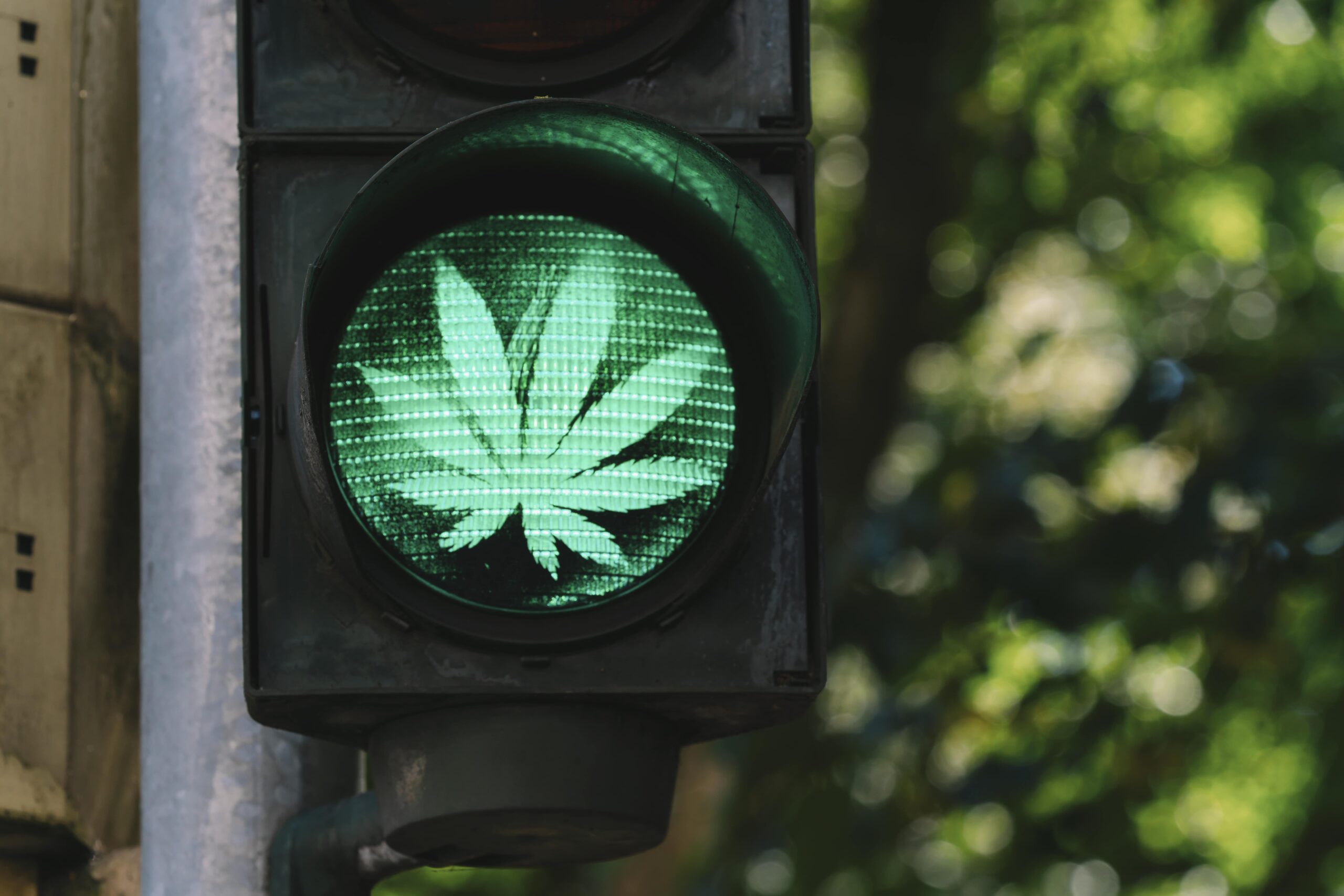 Grüne Ampel mit Cannabis-Blatt als Symbol
