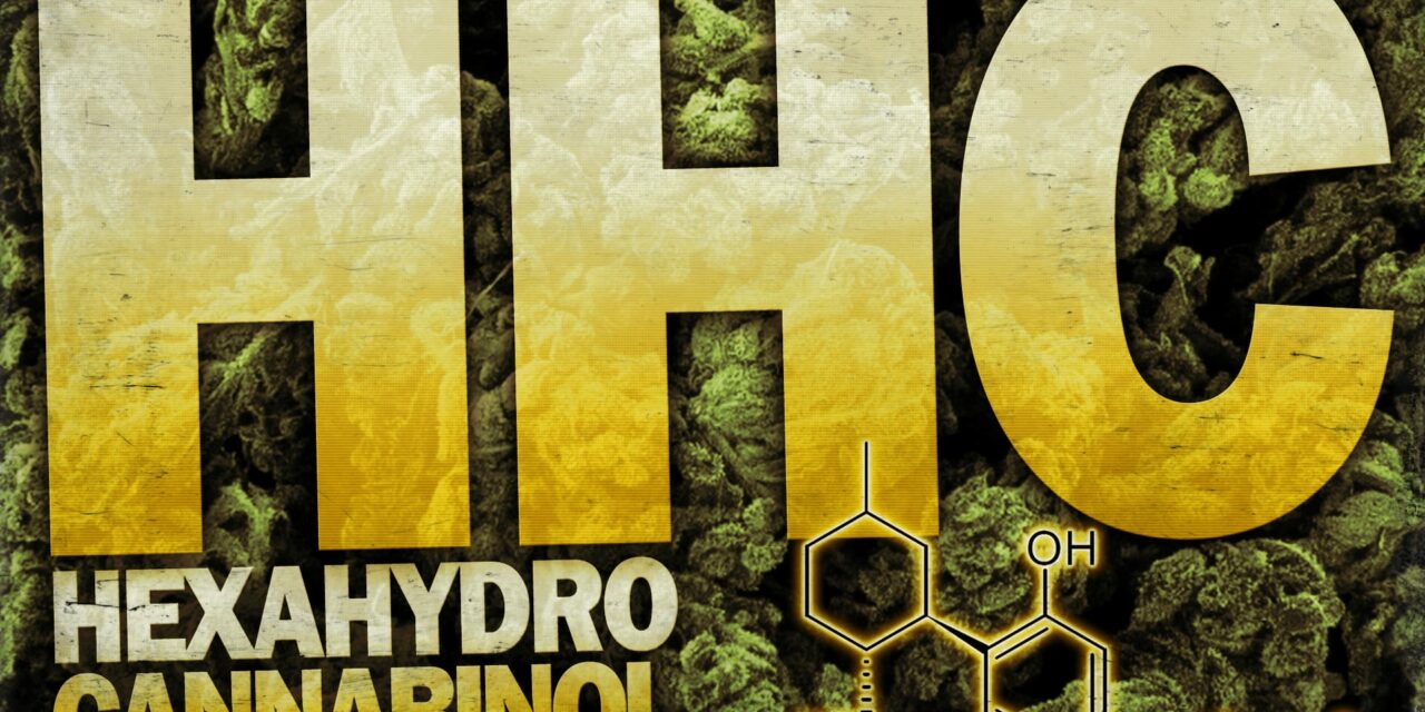 HHC – der neue Hype um die THC-Alternative
