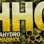 HHC – der neue Hype um die THC-Alternative
