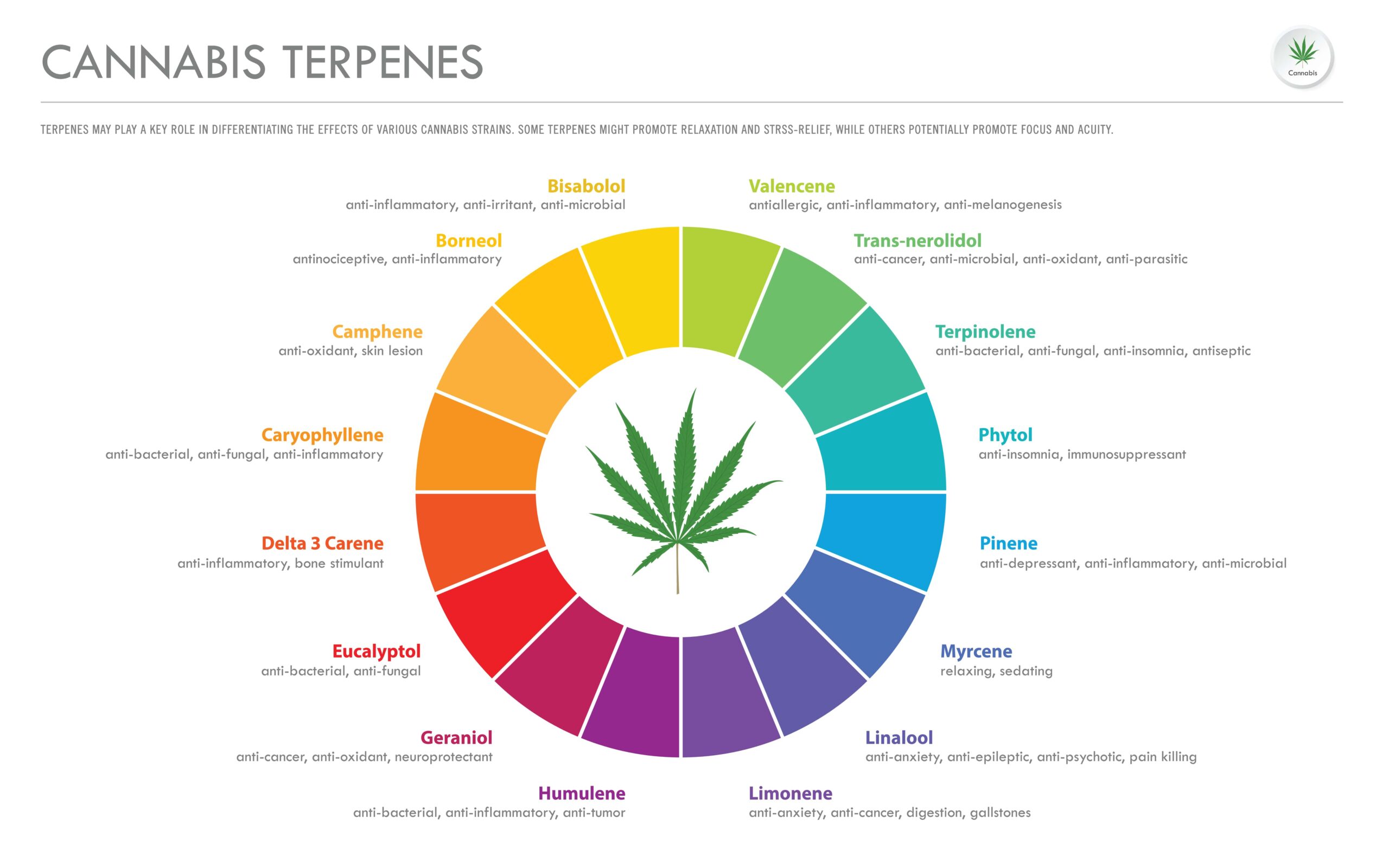 Abbildung verschiedener Cannabis-Terpene