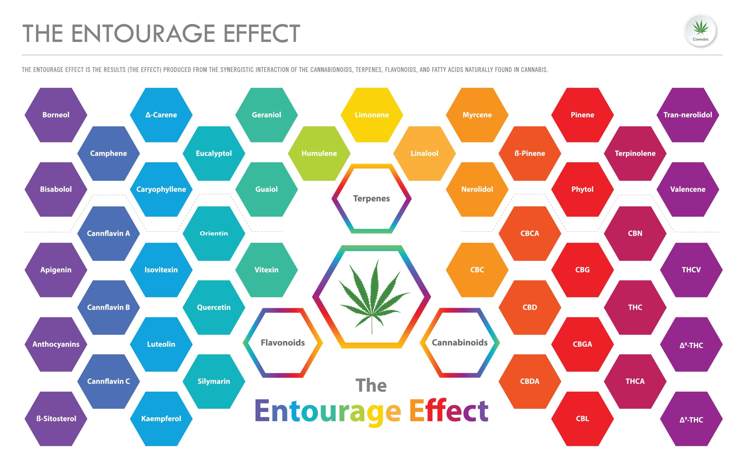 Bandbreite an sekundären Cannabis-Stoffen, die miteinander einen Entourage-Effekt haben können