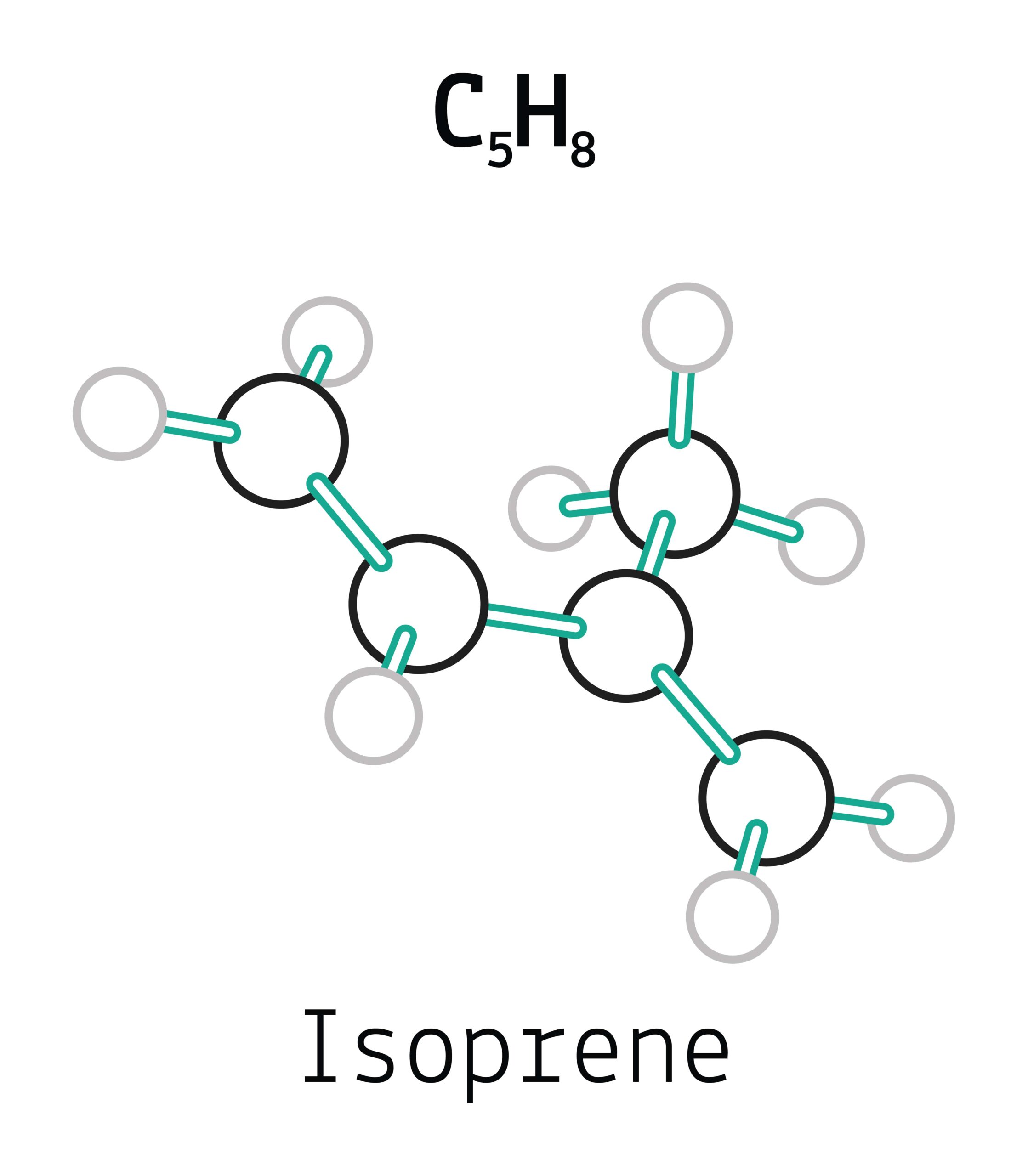 Chemische Abbildung einer Isopren-Einheit