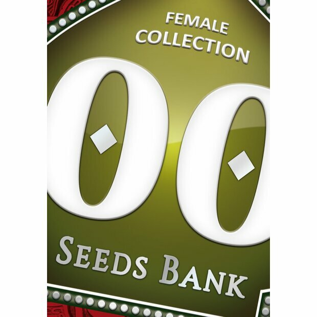 00 Seeds Female Collection #1 Feminisiert 6 Stück