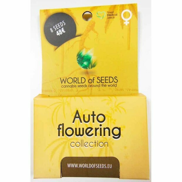 World of Seeds Autoflowering Collection Pack Hanfsamen 8 Stück