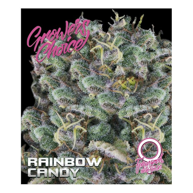 Growers Choice Auto Rainbow Candy