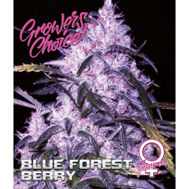 Growers Choice Blue Forest Berry