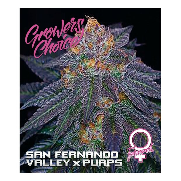 Growers Choice San Fernando Valley x Purps